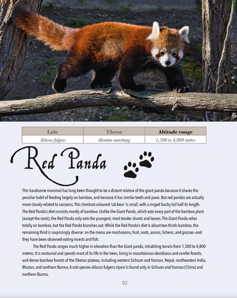 The Snow Leopard's New Friend