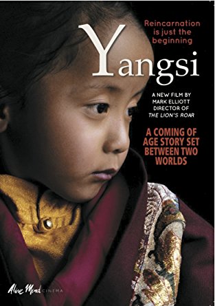 Yangsi: Reincarnation Is Just the Beginning